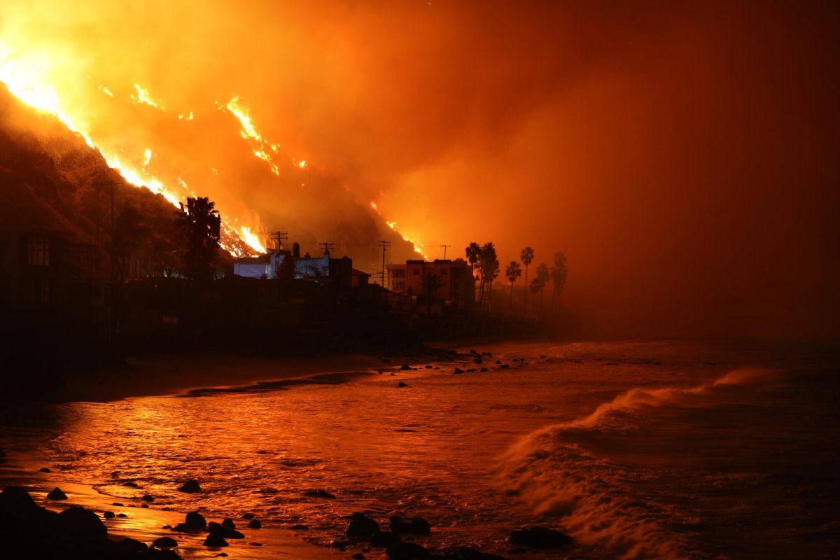 "The Palisades fire approaches the Pacific Ocean along Pacific Coast Highway on Jan. 8.(Wally Skalij/Los Angeles Times)"
